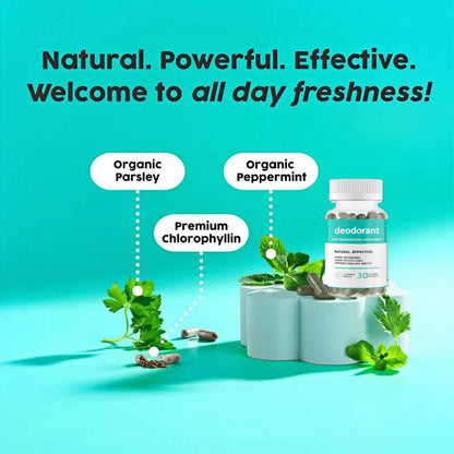 OdorFree: The Ultimate Solution for All-Day Freshness
